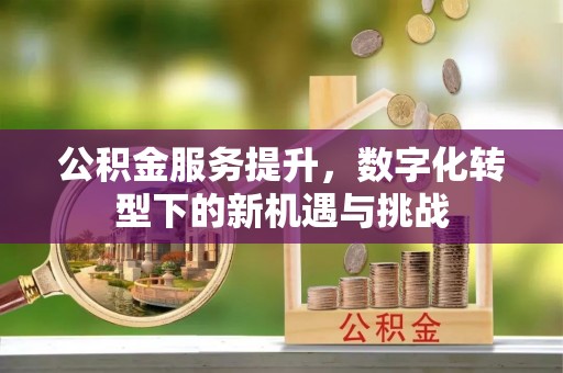 镇雄公积金服务提升，数字化转型下的新机遇与挑战