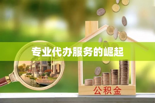镇雄专业代办服务的崛起