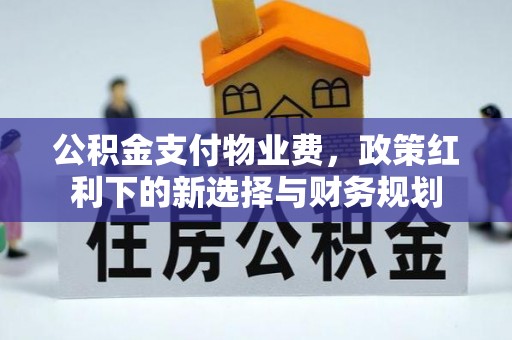 镇雄公积金支付物业费，政策红利下的新选择与财务规划