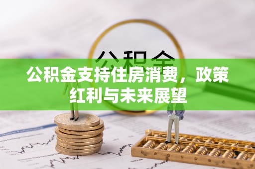 镇雄公积金支持住房消费，政策红利与未来展望