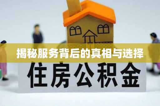镇雄揭秘服务背后的真相与选择
