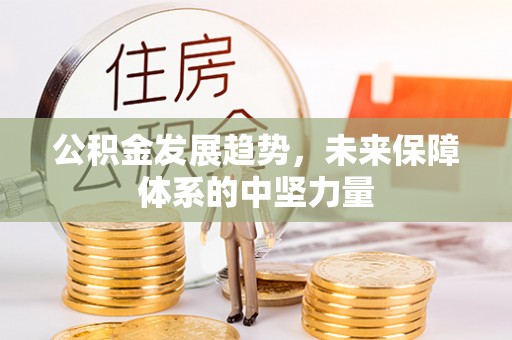镇雄公积金发展趋势，未来保障体系的中坚力量