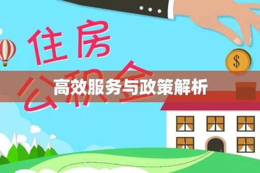 镇雄高效服务与政策解析