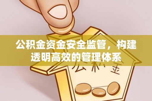 镇雄公积金资金安全监管，构建透明高效的管理体系