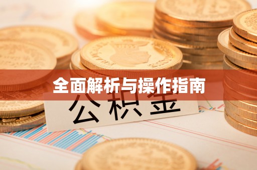 镇雄全面解析与操作指南
