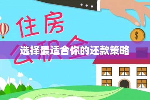 镇雄选择最适合你的还款策略